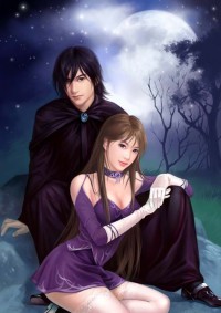 军婚如火